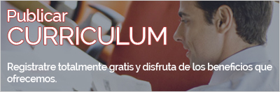 Publicar Curriculum Vitae